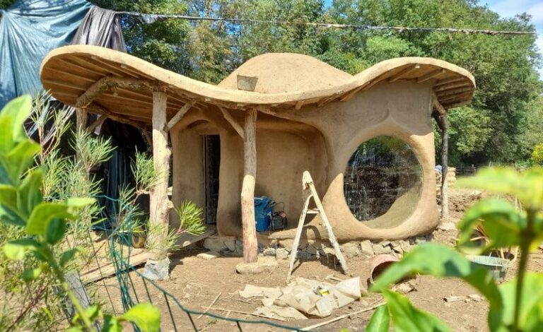 cob construction , construction without bricks , no bricks were used in this construction