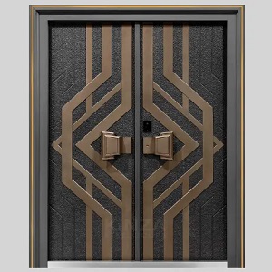 Steel Door